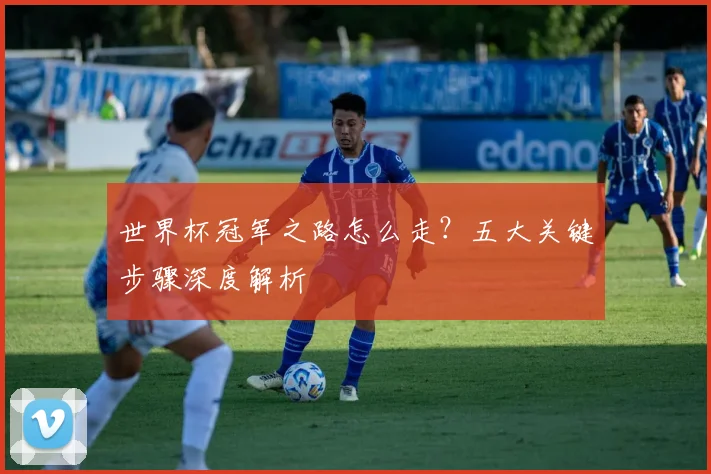 世界杯冠军之路怎么走？五大关键步骤深度解析