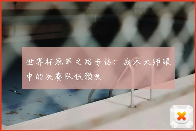 世界杯冠军之路专访：战术大师眼中的决赛队伍预测