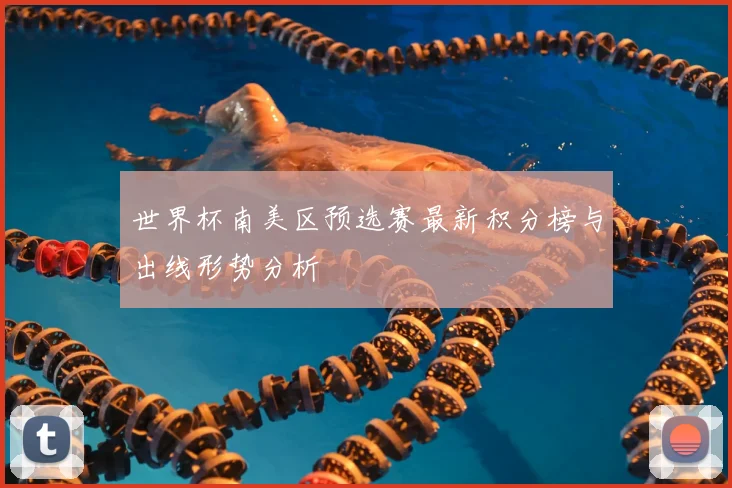 世界杯南美区预选赛最新积分榜与出线形势分析