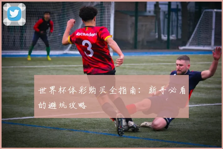 世界杯体彩购买全指南：新手必看的避坑攻略