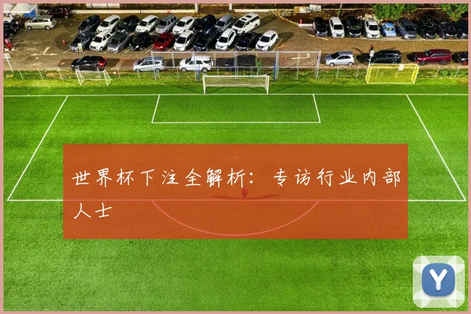 世界杯下注全解析：专访行业内部人士