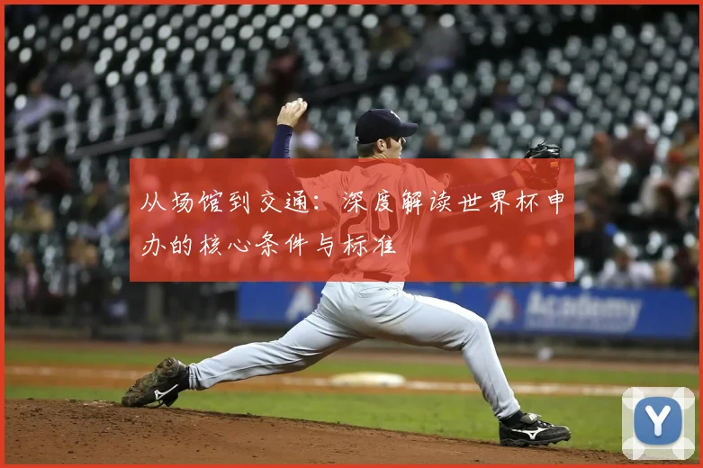 从场馆到交通：深度解读世界杯申办的核心条件与标准