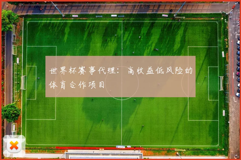世界杯赛事代理：高收益低风险的体育合作项目