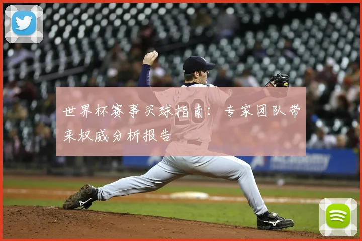 世界杯赛事买球指南：专家团队带来权威分析报告