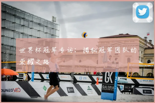 世界杯冠军专访：揭秘冠军团队的荣耀之路