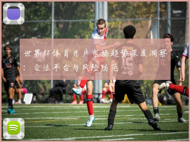 世界杯体育开户市场趋势深度洞察：合法平台与风险防范