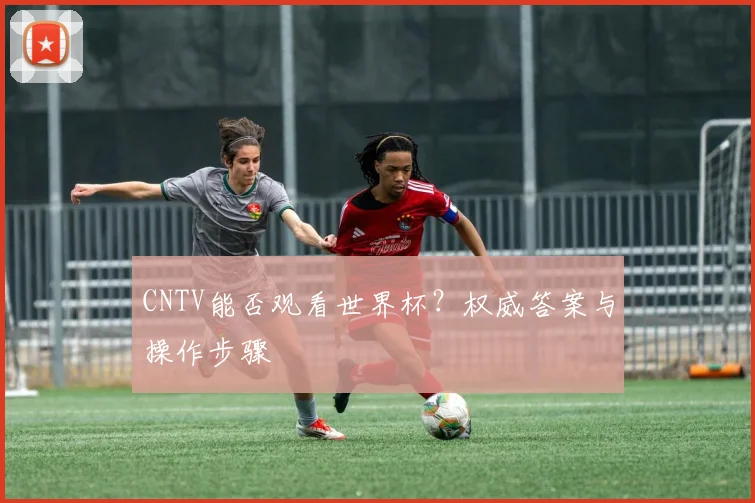 CNTV能否观看世界杯？权威答案与操作步骤
