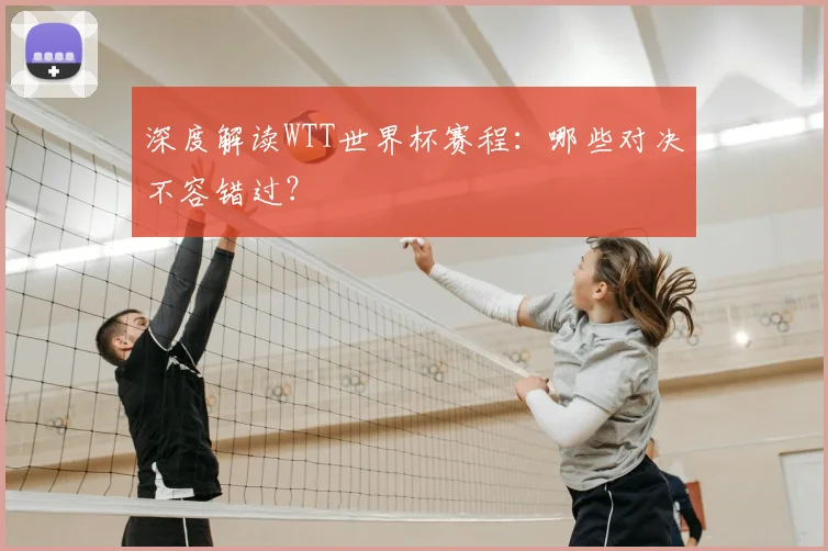 深度解读WTT世界杯赛程：哪些对决不容错过？
