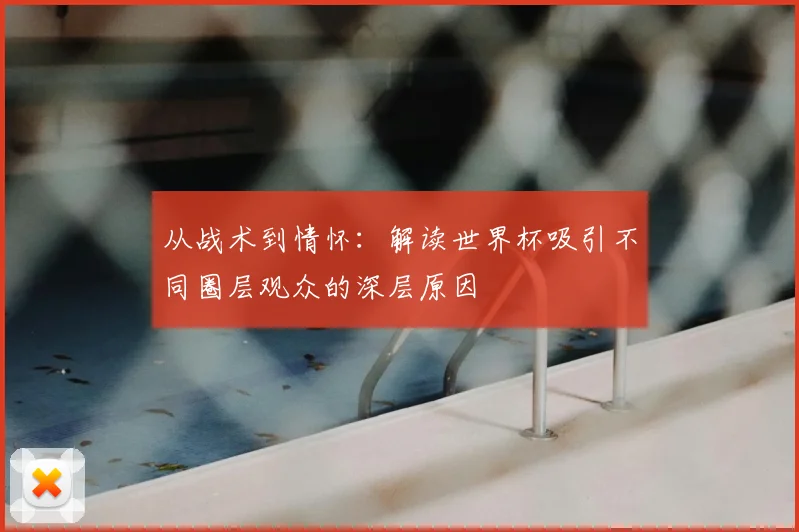 从战术到情怀：解读世界杯吸引不同圈层观众的深层原因