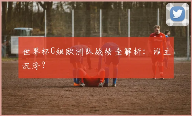 世界杯G组欧洲队战绩全解析：谁主沉浮？